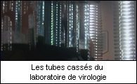 Les tubes cassés du laboratoire de virologie